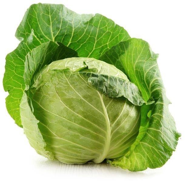 Kapusta młoda picture