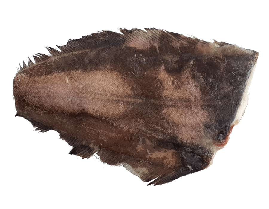 Halibut tusza picture