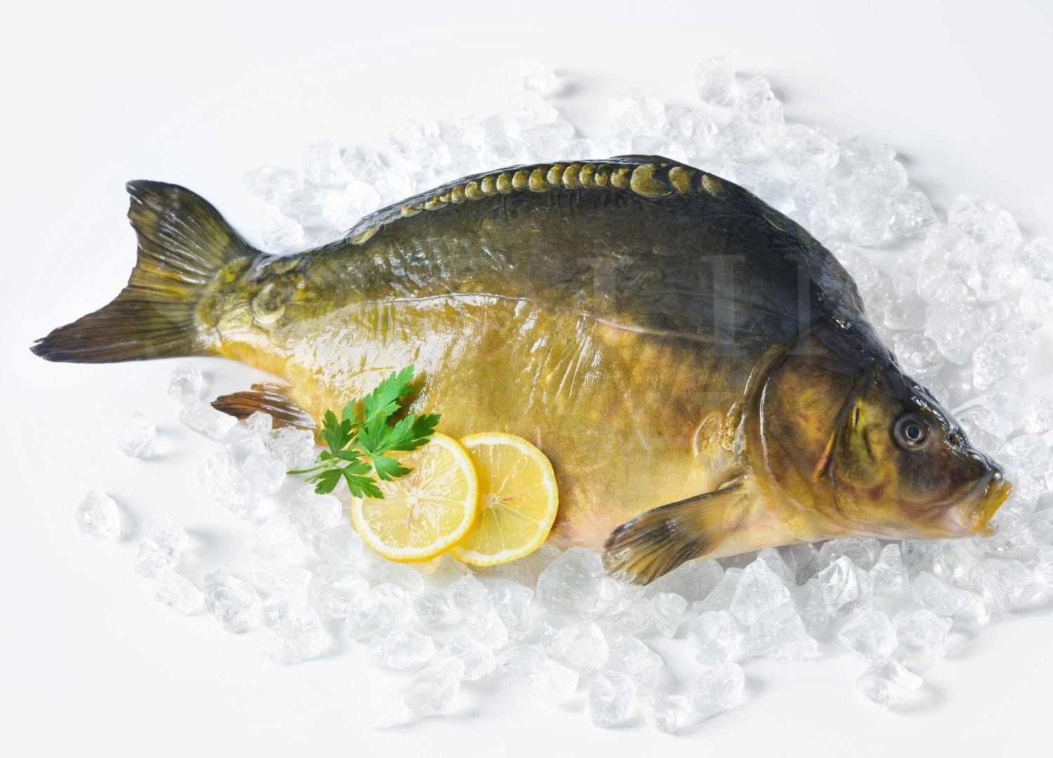 Karp patroszony picture