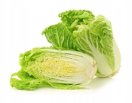 Kapusta pekińska młoda picture