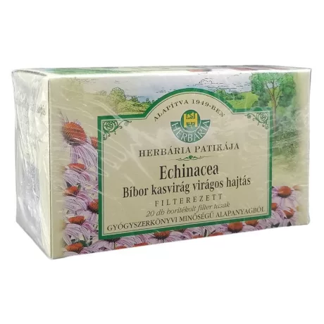 Tea,bíbor kasvirág virágos hajtás picture