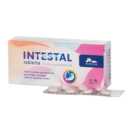 Intestal tabletta picture