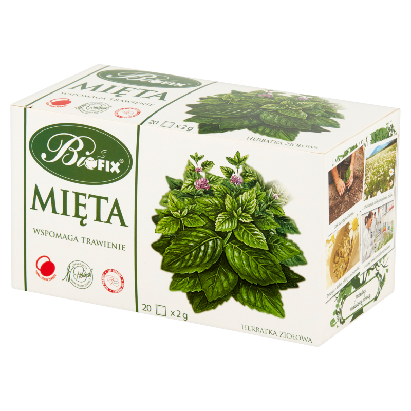 Herbatka ziołowa mięta picture