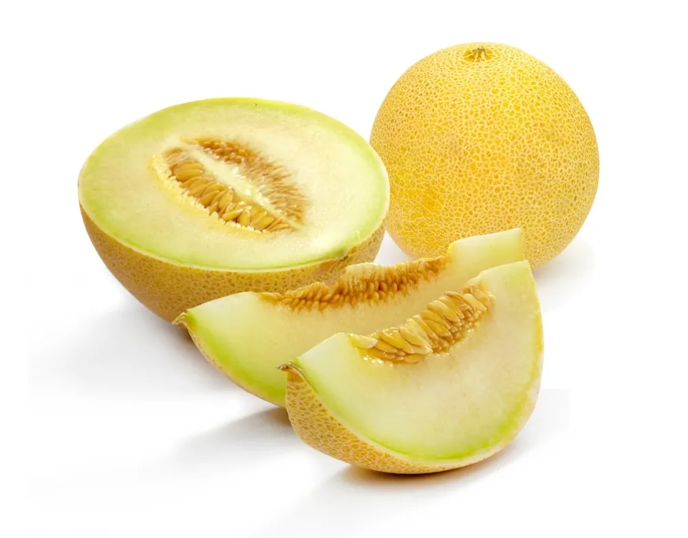 Melon galia picture