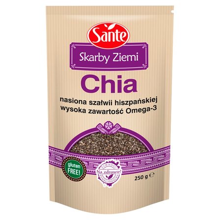 Chia nasiona szałwii hiszpańskiej picture