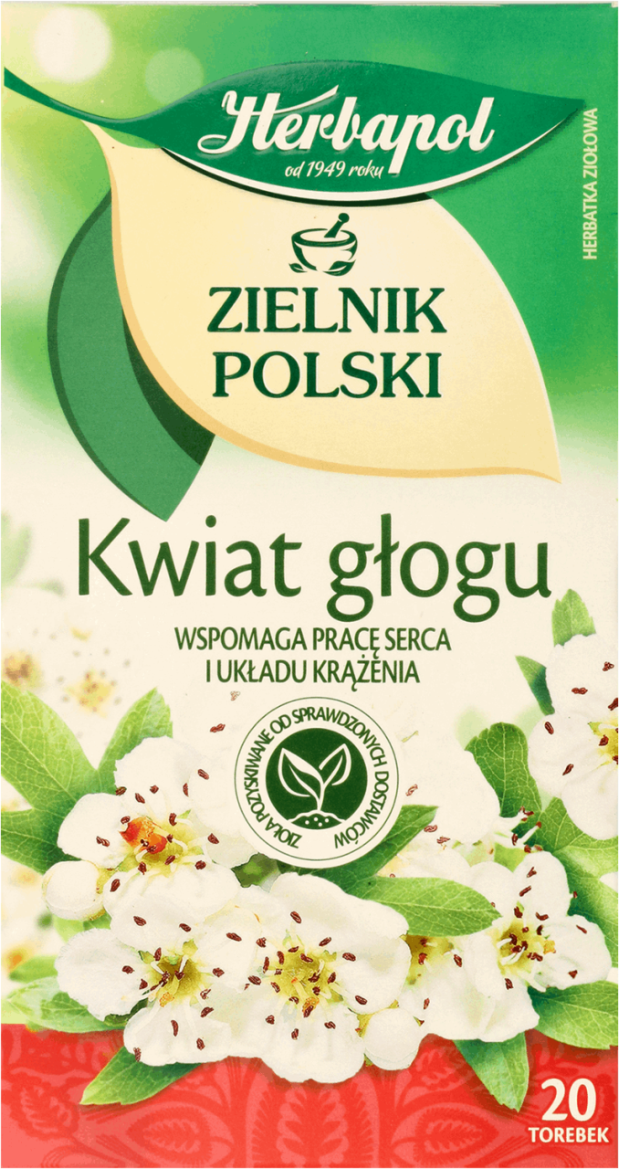 Herbatka kwiat głogu picture