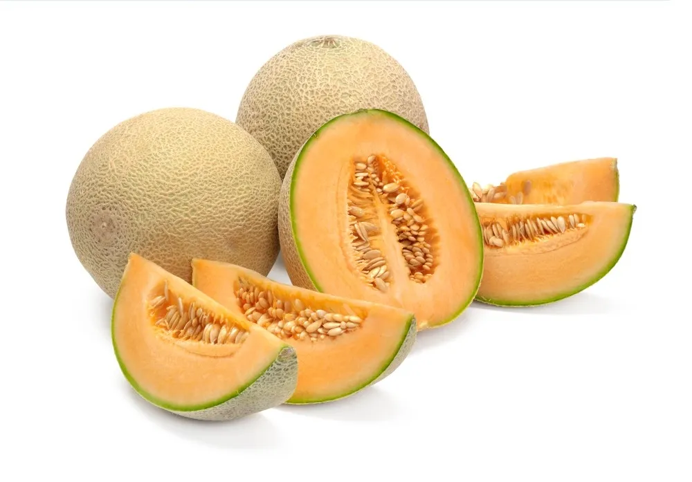 Melon cantaloupe picture