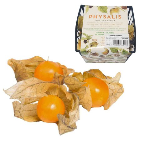 Physalis picture