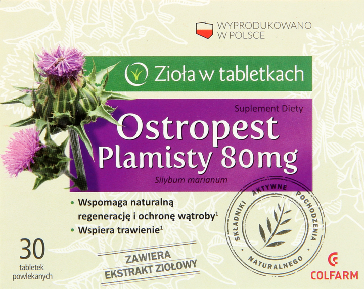 Ostropest plamisty picture