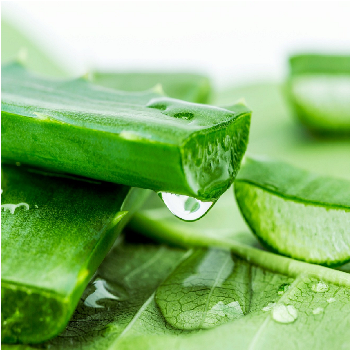 Emulsja do twarzy 86% aloe vera picture