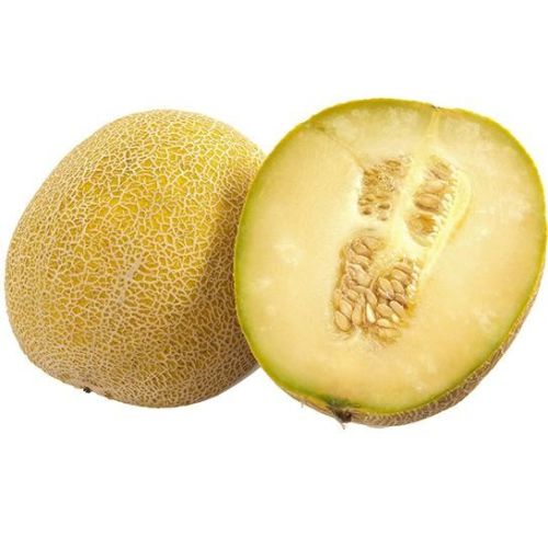Melon galia picture
