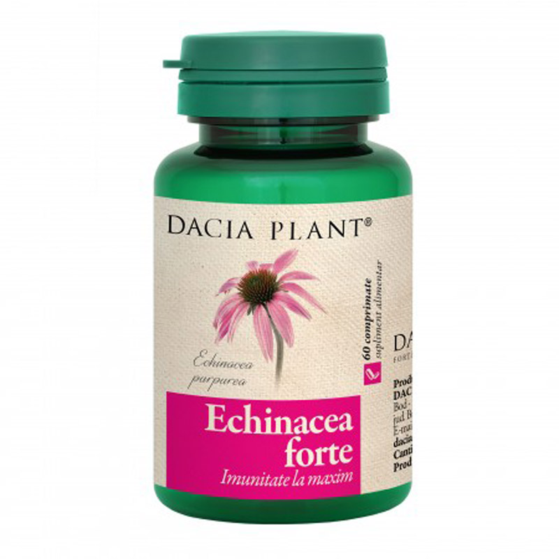 Echinacea forte, 60 capsule picture
