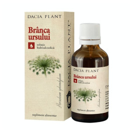 Tinctura branca ursului, ajutor impotenta picture