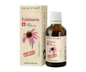 Tinctura de echinacea picture