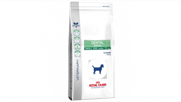 Dental small dog dry picture