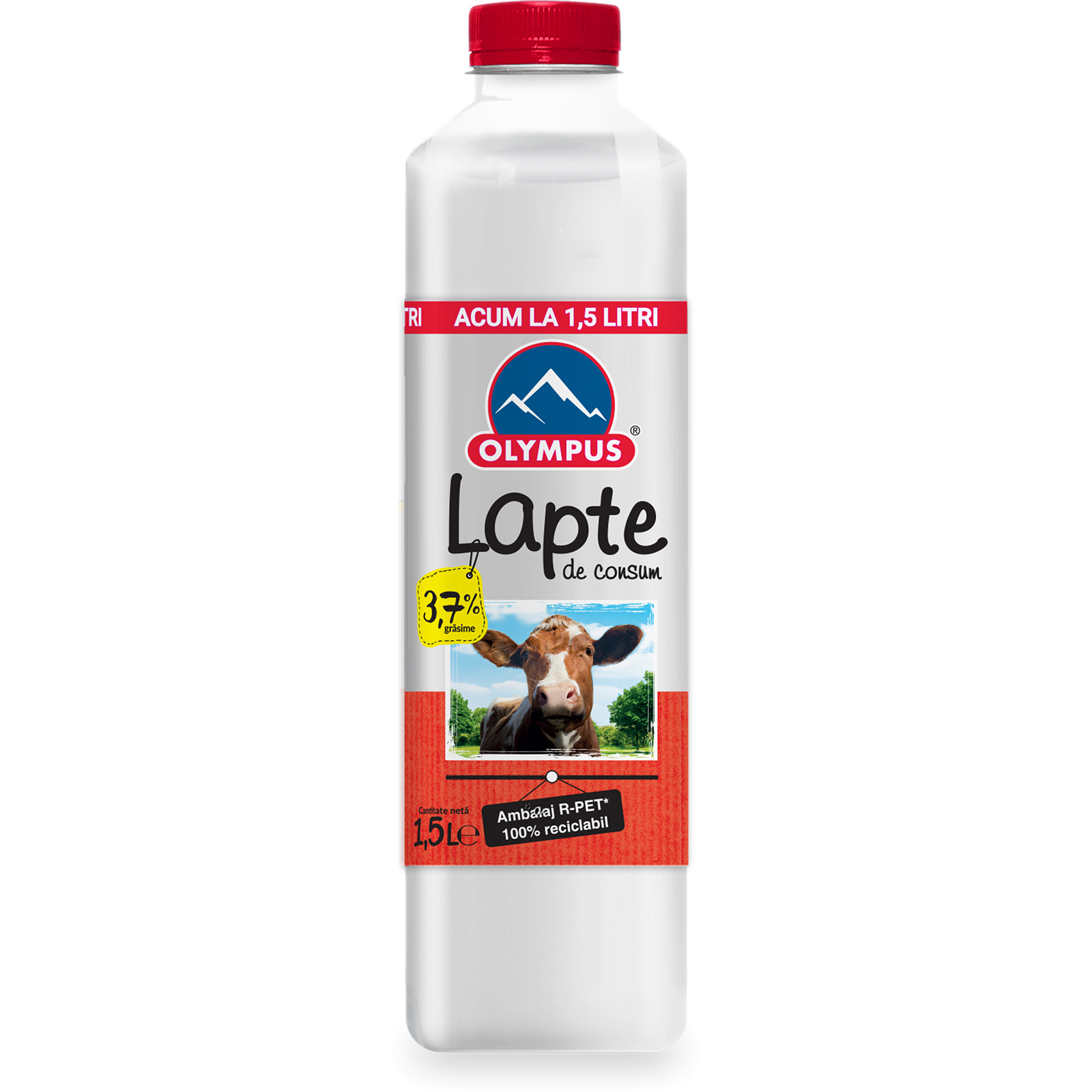 Lapte consum 3.7% grasime picture