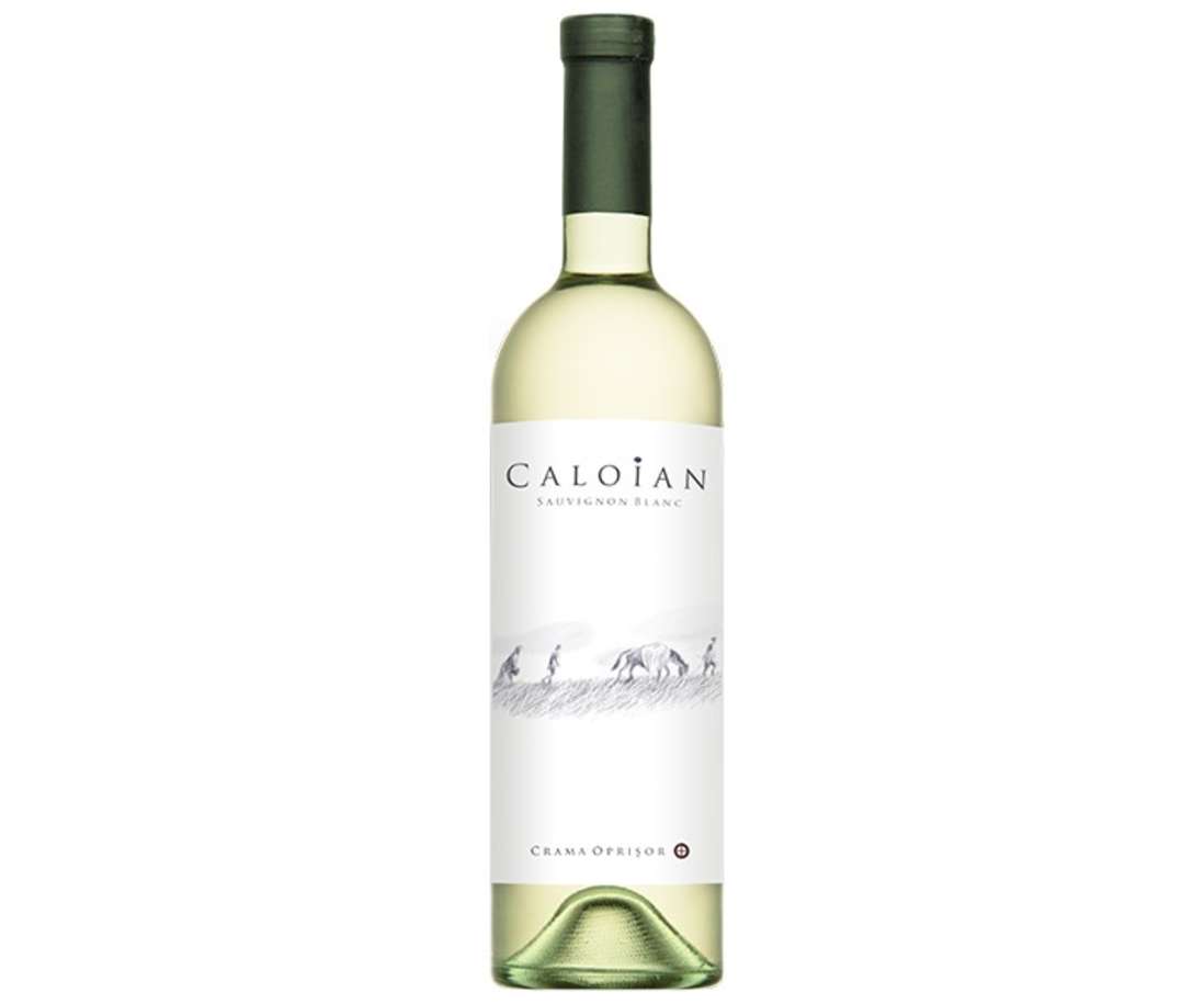 Vin alb sauvignon blanc sec picture