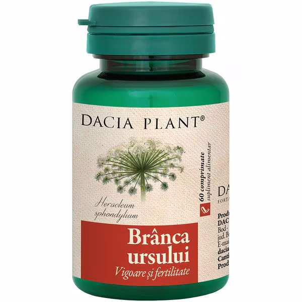 Comprimate branca ursului picture