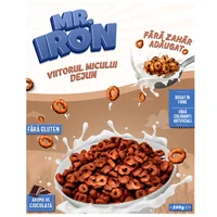 Cereale din ovaz fara zahar si fara gluten ciocolata inghetata picture