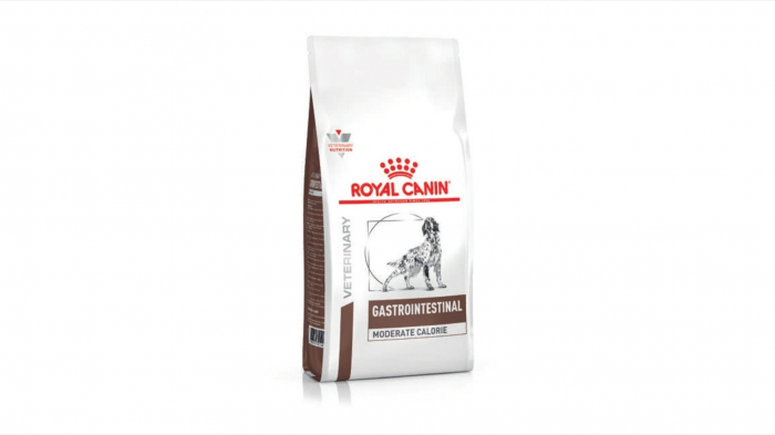 Gastro intestinal moderate calorie dog picture