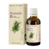 Tinctura de rozmarin picture