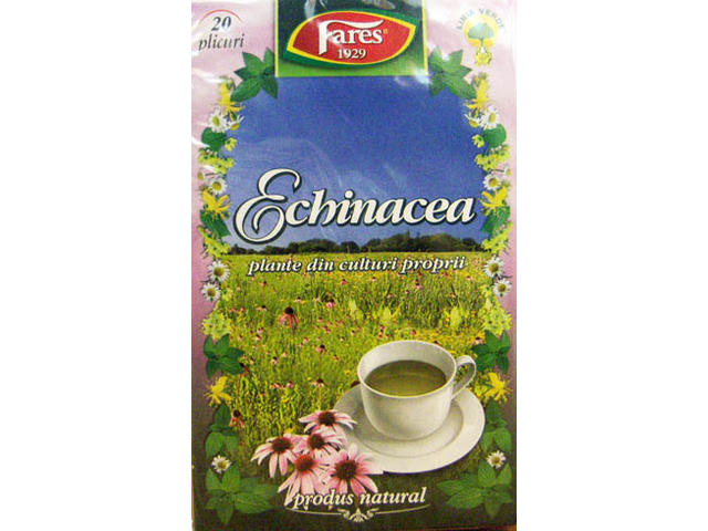 Ceai echinacea picture