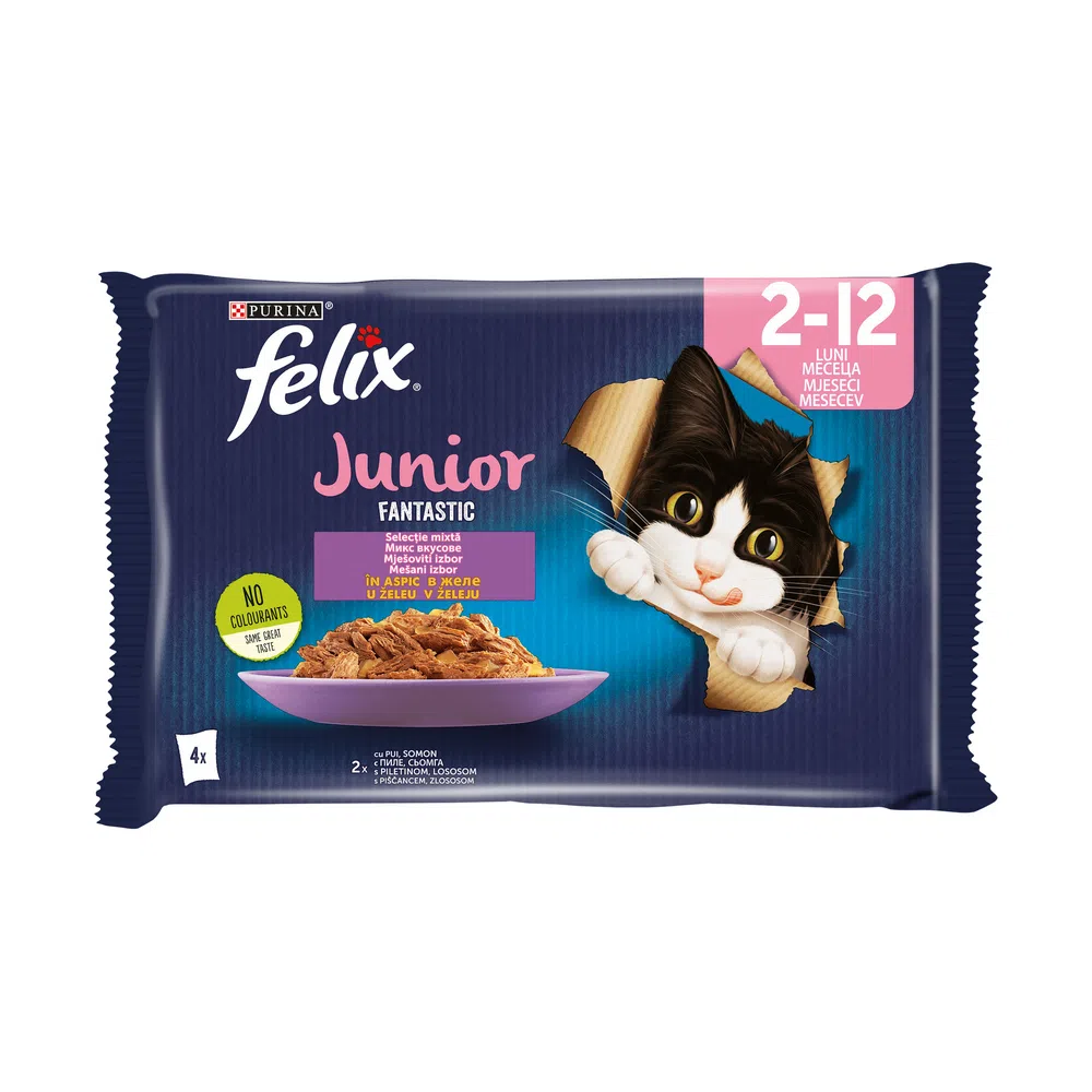 Hrana umeda pisici junior fantastic pui-somon picture