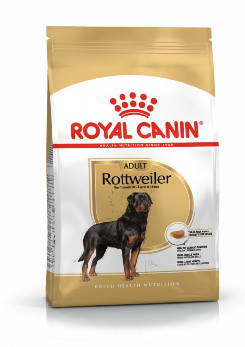 Rottweiler adult hrana uscata caine picture