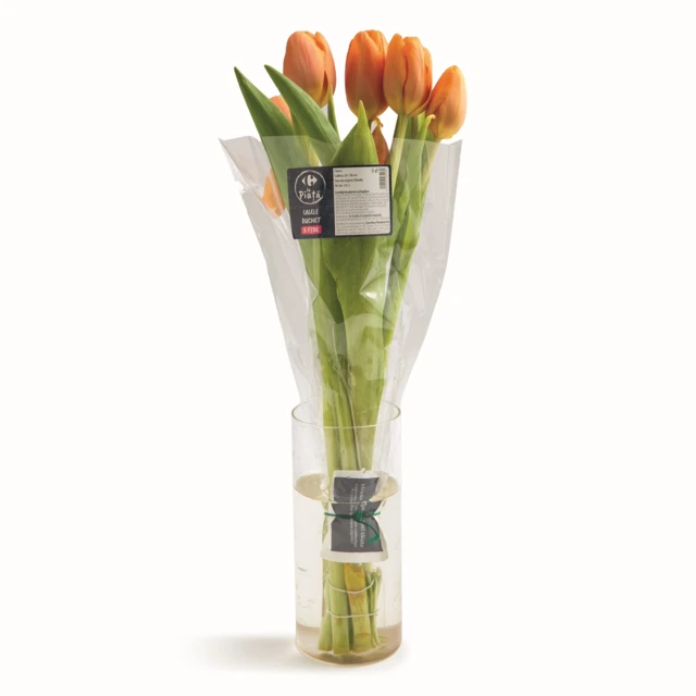 Buchet lalele picture