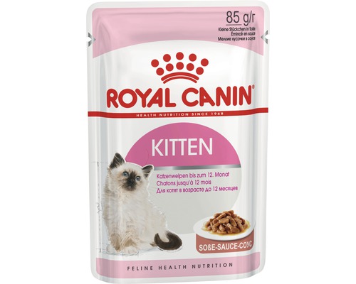 Kitten instinctive in gravy pouch picture