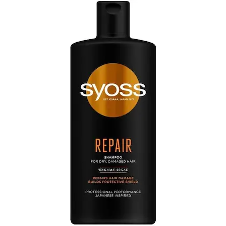 Sampon repair picture
