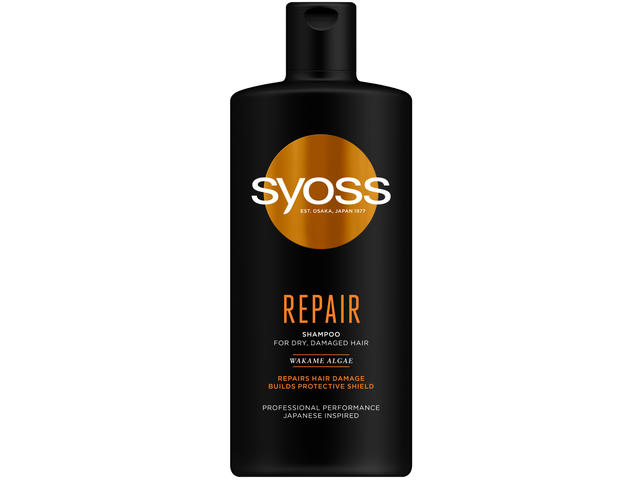 Sampon repair picture
