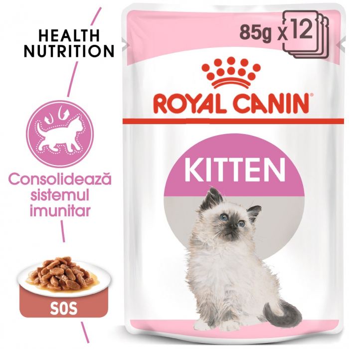 Kitten instinctive in gravy pouch picture