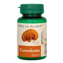 Ganoderma picture