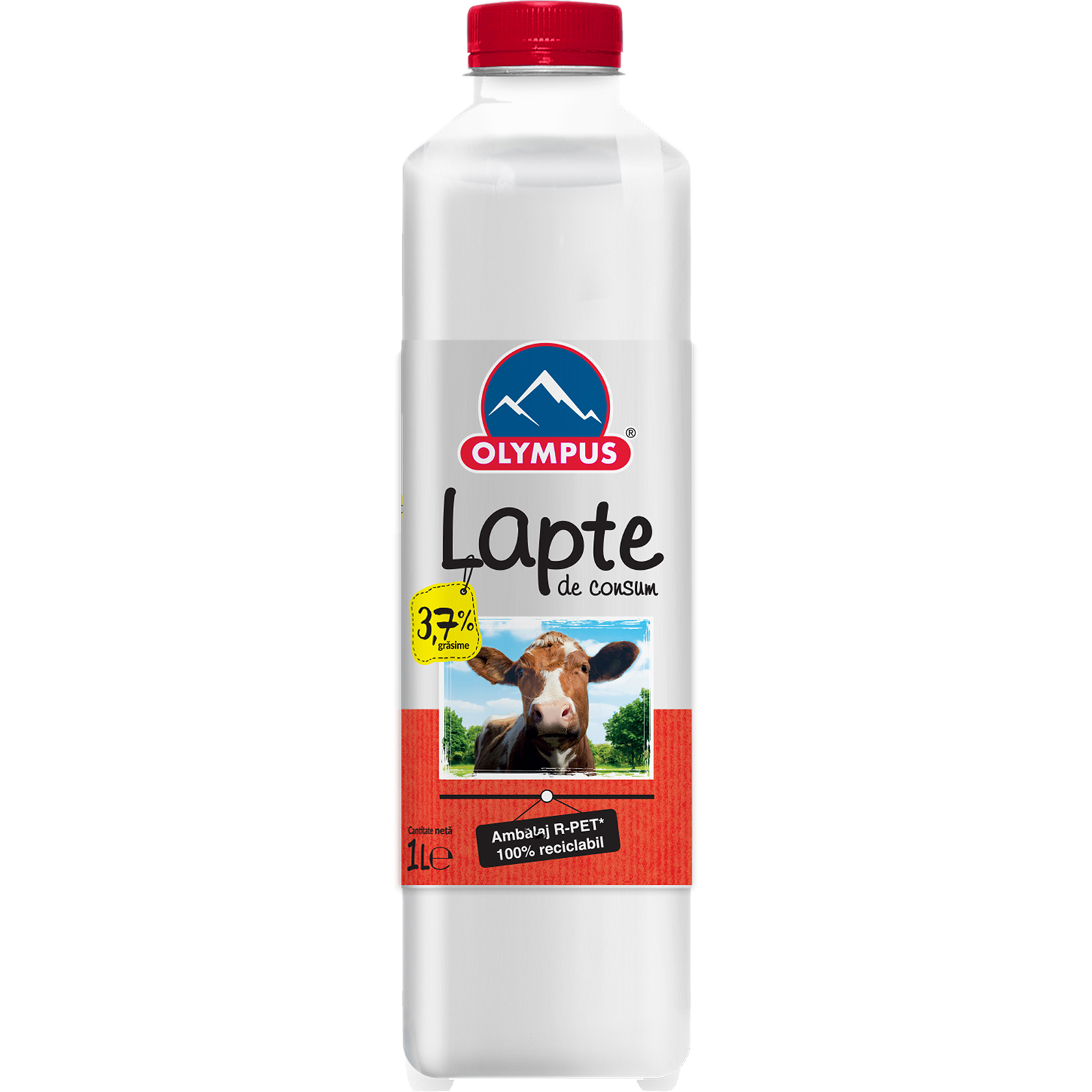 Lapte consum 3.7% grasime picture