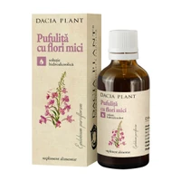 Tinctura de pufulita cu flori mici picture
