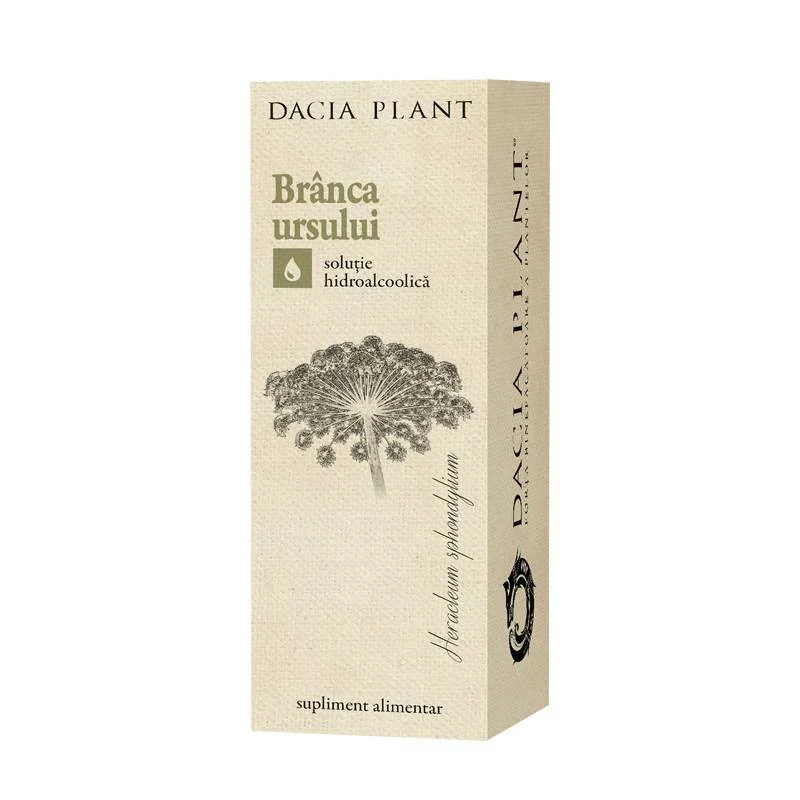 Tinctura de branca ursului picture