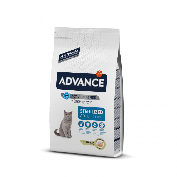 Cat adult sterilised cu curcan picture